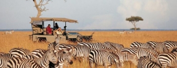 KENYA`DA SAFARİ & ZENZİBAR`DA DENİZ TURU